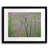 Black Single Picture Framed Paper is unavailable