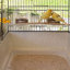 60.5cm Table Top Bird Cage with Perch
