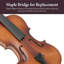 Ensemble professionnel professionnel 4/4 pour violon - Conception durable et légère avec son riche et stable, finition lisse et accessoires complets, cadeau unique idéal pour les musiciens