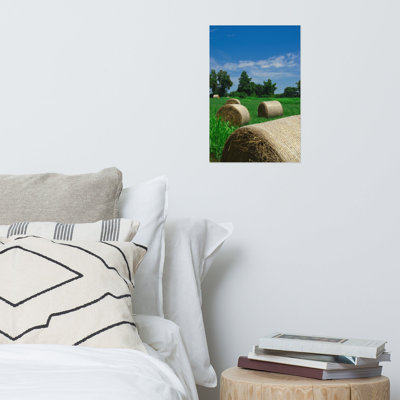 Hay Whatcha Doin' in the Field - Unframed Photograph -  Ebern Designs, 2859FF565D974055B34C1FF350092C87