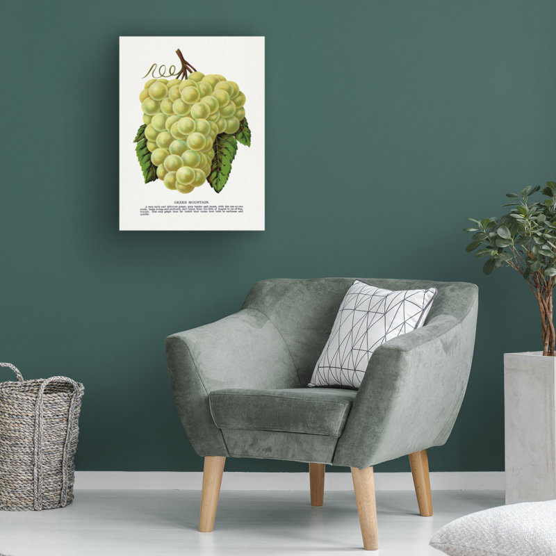 Art sur toile, raisin botanique, montagne, H 32 po x l 24 po