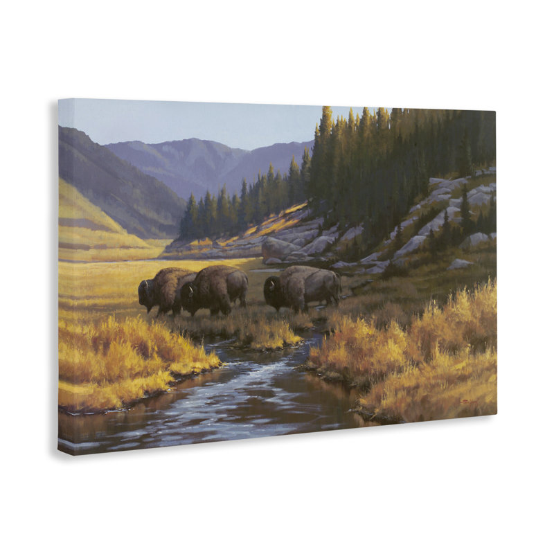 Bison Trailing Serene Stream Canvas Wall Art, design by Paco Young, 16" H x 24" W