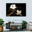 Fleurs de lotus Harnek-107680240