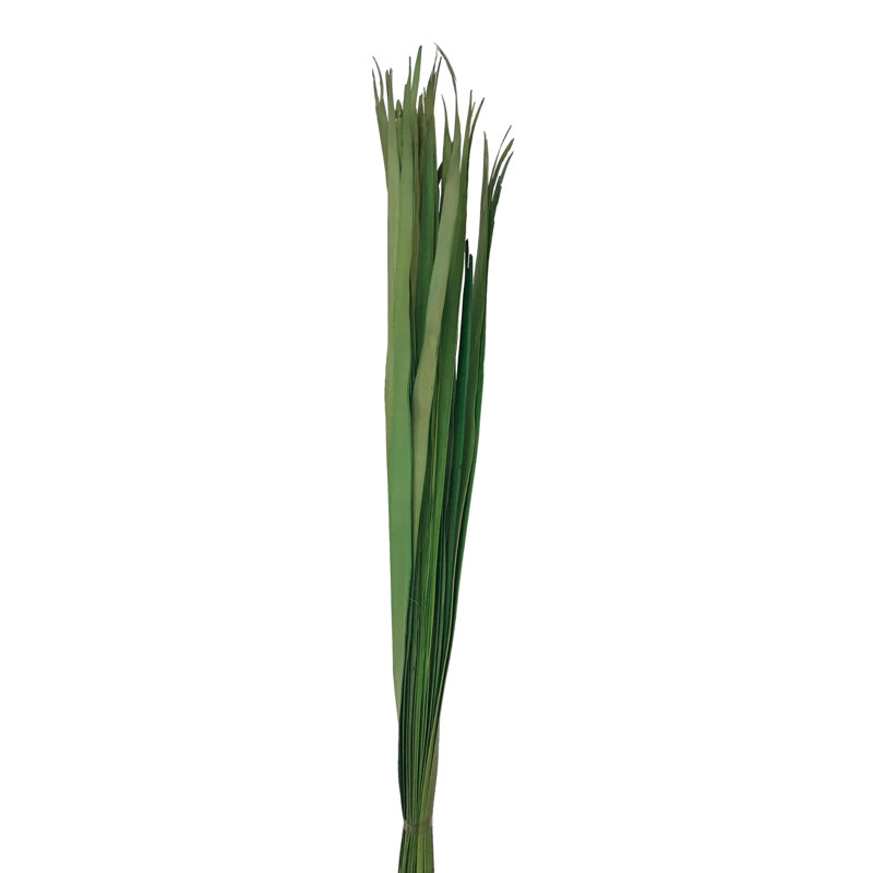 Elmhur Arrangement, Fern Green