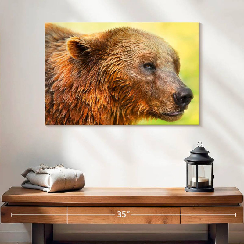 Brampt Cute Bear II, 16" H x 24" W