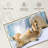 Brampt Polar Bears-107850677