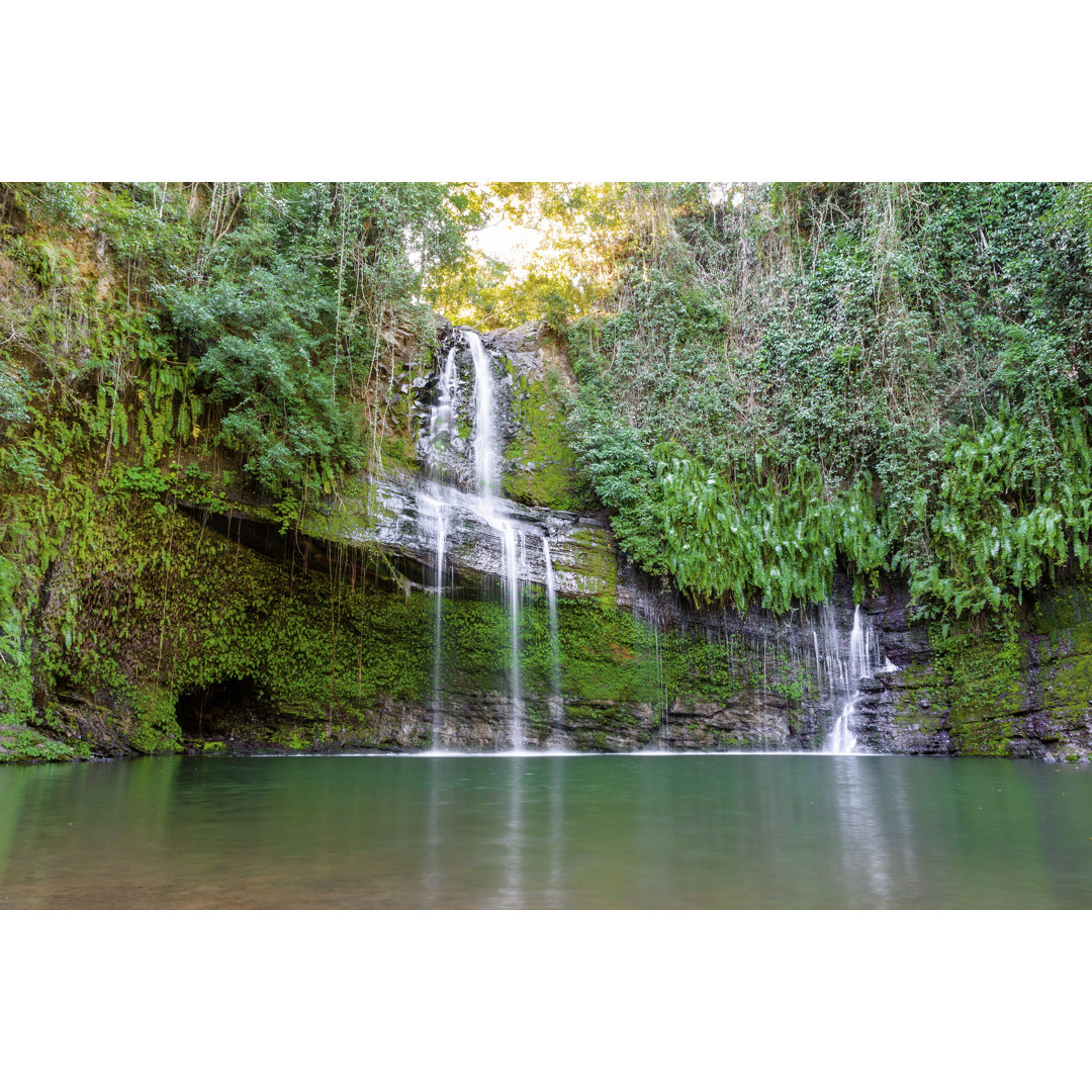 Waterfall In The Forest von Italiansight - Kunstdrucke auf Leinwand ohne Rahmen