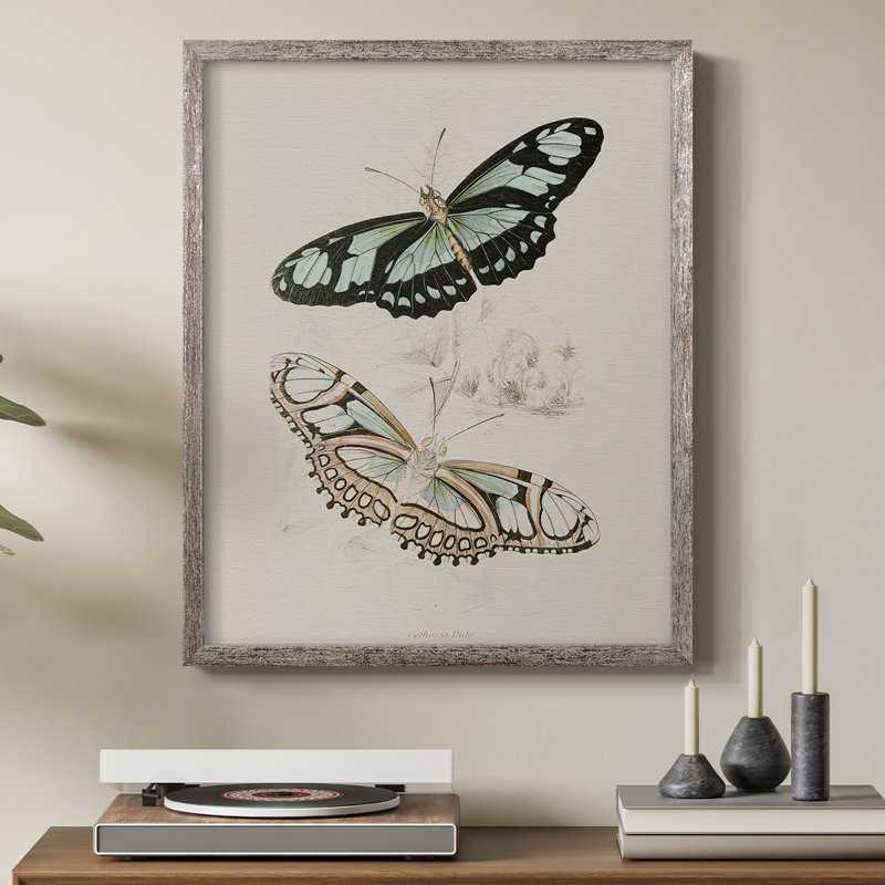 «Vintage Animal Print», reproduction encadrée en L - bois massif, H 15 po x l 12 po