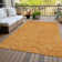  Machine Washable Indoor/Outdoor Chayden ACN1021 Taupe Rug