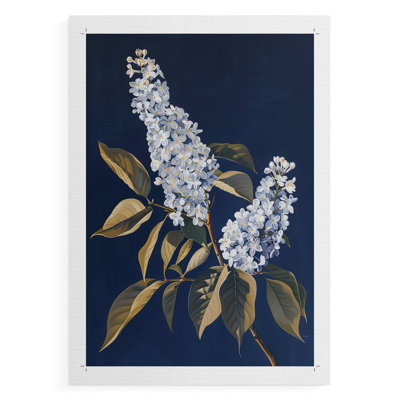 FLORAL Series CLXII - Impression sur toile seulement - NON CADRE