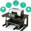 Desktop Printer Stand 27.2 cm H x 48 cm W Printer Stand