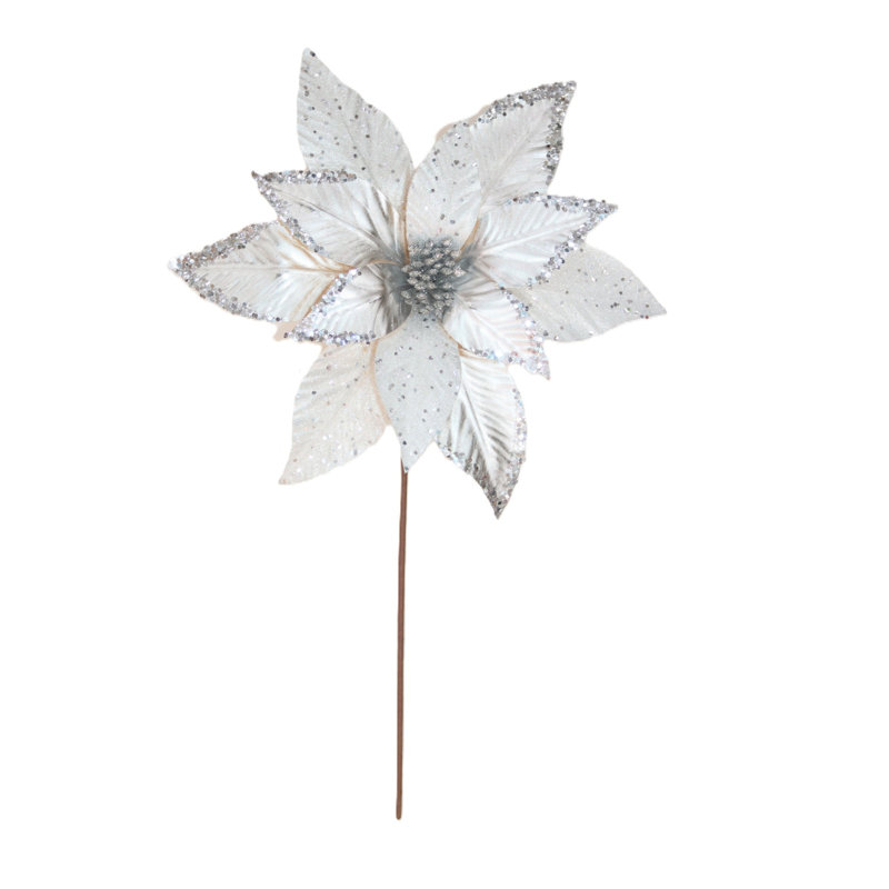 Picsettia métallique argenté, Argent