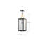 Holden - Luminaire suspendu - Finition dorée et noire - Verre transparent