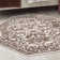 Alexzandar Ikat Indoor Rug