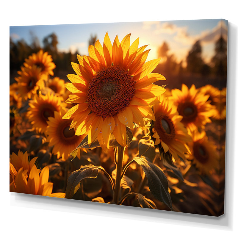 Tournesols orange et tournesols éclairés II, H 12 po x l 20 po x P 1 po, Toile tendue
