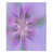 Purple/Pink/Green