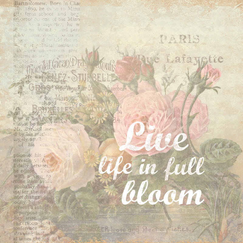 Blooming Antique 1 - Wrapped Canvas Print, 51cm H x 51cm W x 3.8cm D