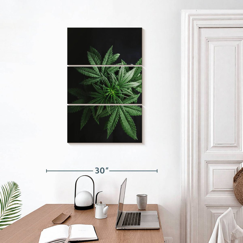 Cannabis Leaves