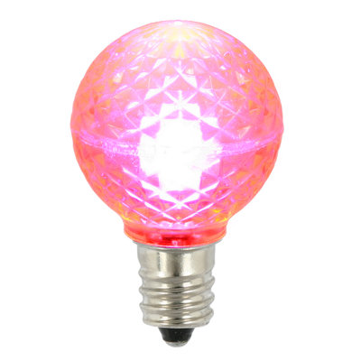Globe Light Bulbs
