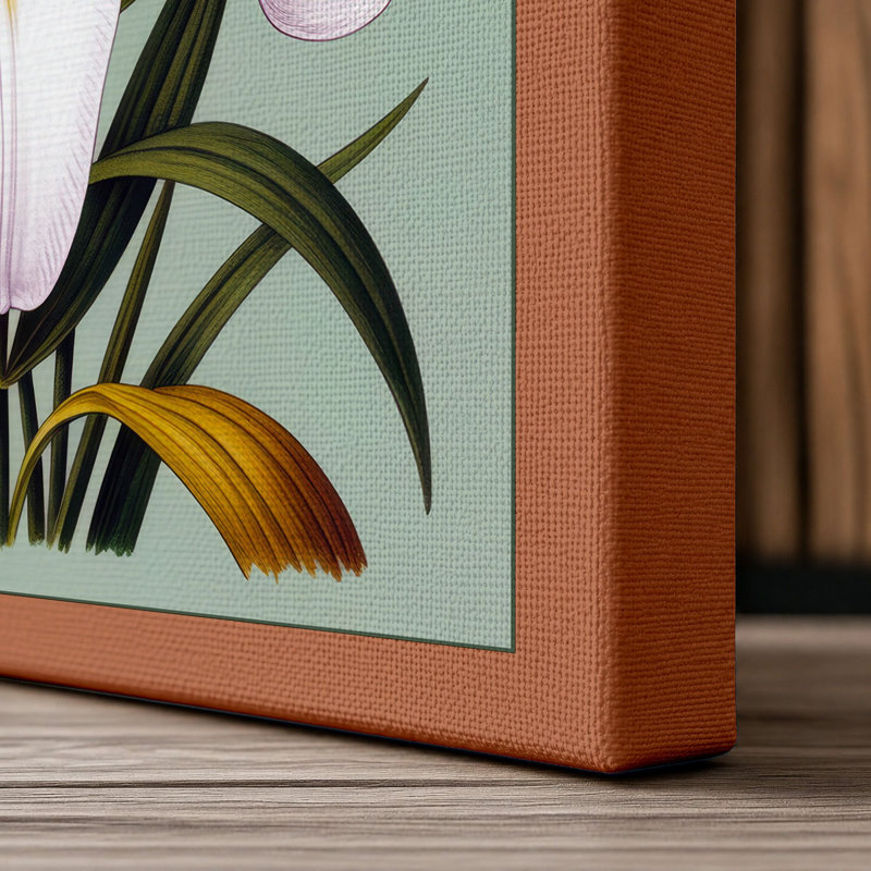White Lily Study Botanical - Wrapped Canvas, 24x16 - 61.0 x 40.6 cm, Terracotta Border