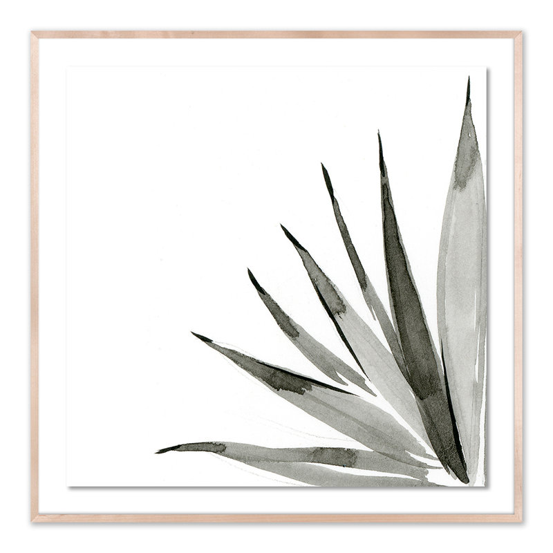 Agave I Print by Jess Engle, Natural, 48" H x 48" W x 2.5" D