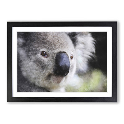 Koala Bear Vol.2 - Framed Print