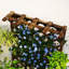 Elevated Planter-657348530