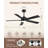 Rolanda 52 Inch Modern Ceiling Fans with Lights and Remote Control, DC Reversible Motor, Noiseless,Ceiling Fan for Bedroom, Living Room, Apartment-1378860254