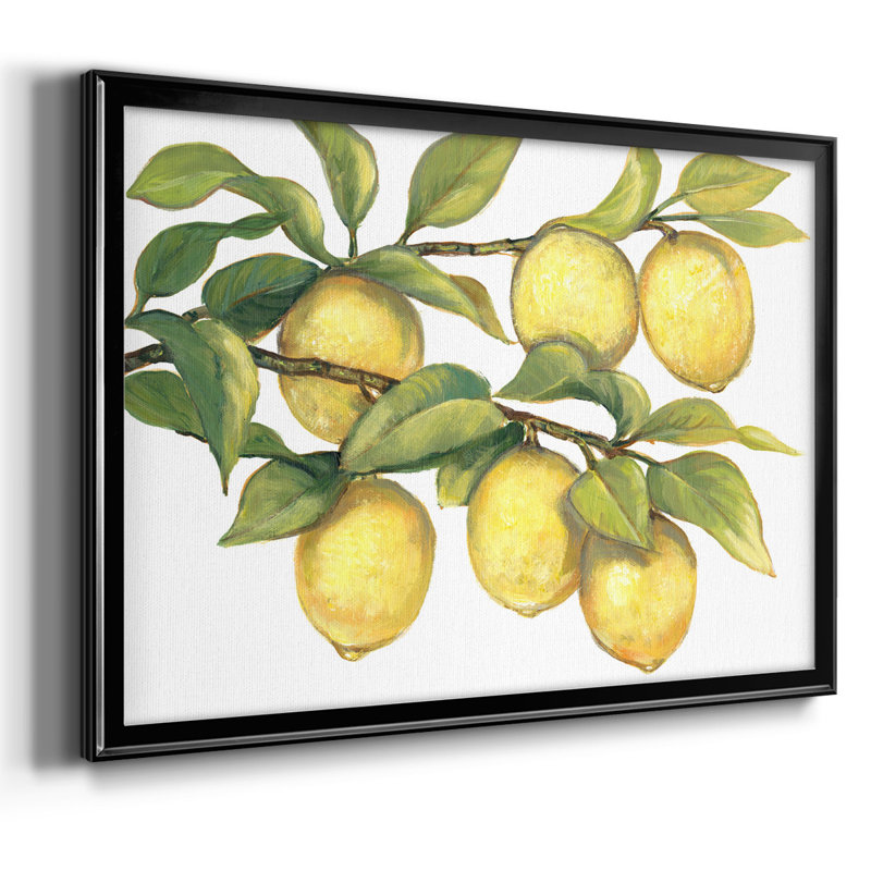 Ripe For Picks II, reproduction d'art sur toile, H 14 po x l 20 po x P 1,5 po, Noir