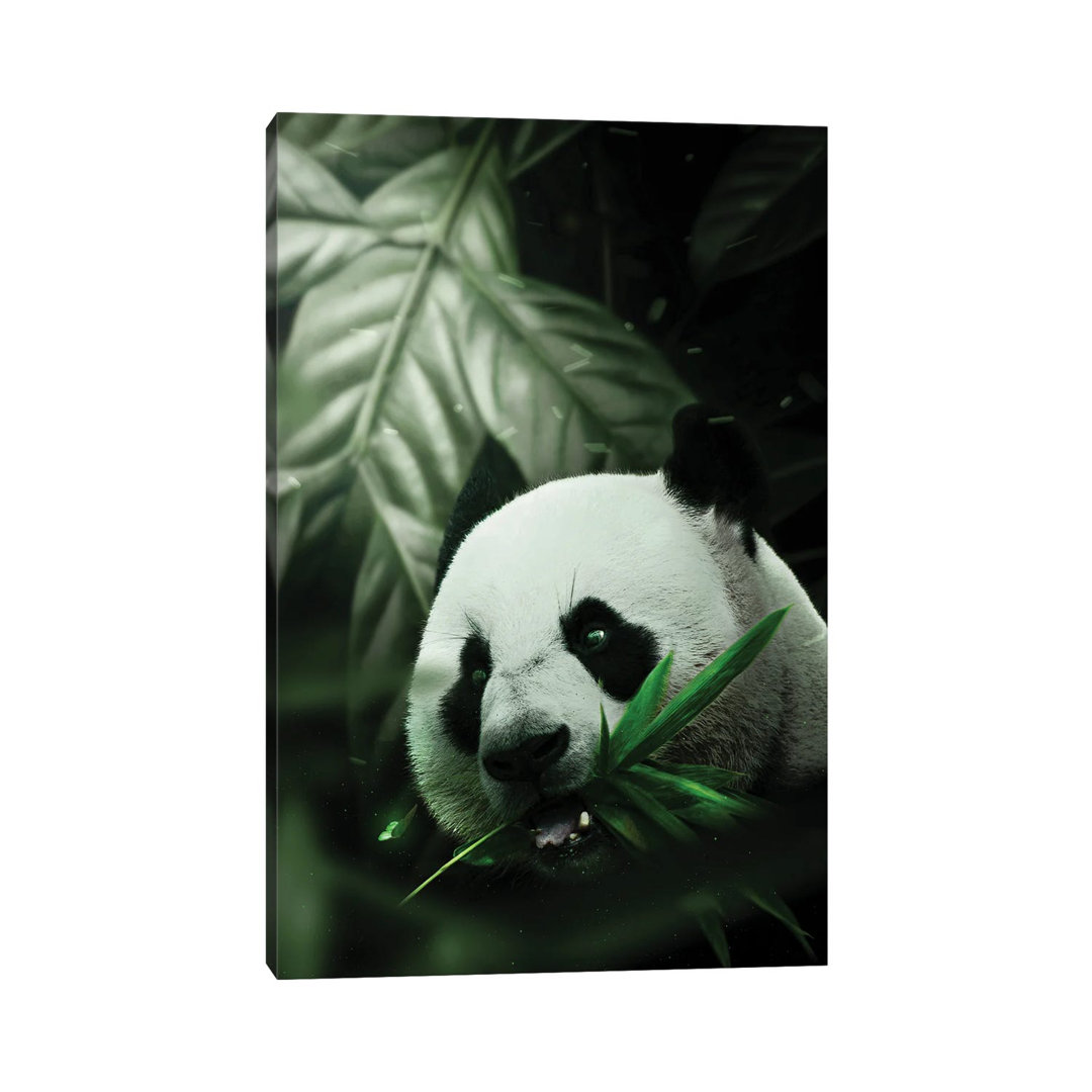 Panda by Milos Karanovic - Wrapped Canvas Print