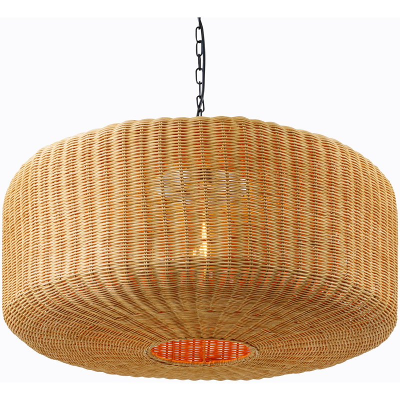 Luminaire suspendu 1 lumière