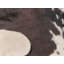 Schuykill Animal Print Area Rug-69821443