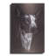 «Ibizan Hound» par Barbara Keith-418820999
