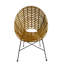 Padmini Upholstered Barrel Chair