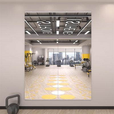 67X24 Inch 2-Pack Modern Home Gym Mirror, Wall-Mounted, Framed