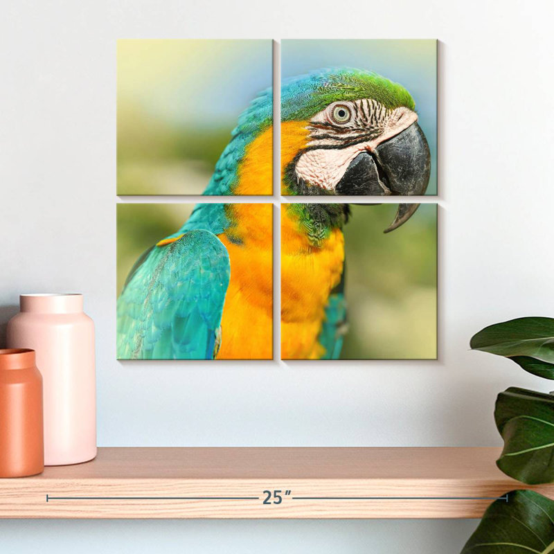 Brampt Parrot, 18" H x 18" W