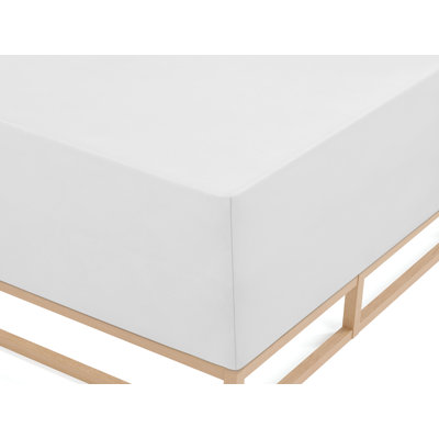 100% Cotton Jersey Knit Fitted Sheet