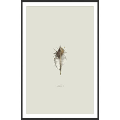 by Studio L57 Nouvelle