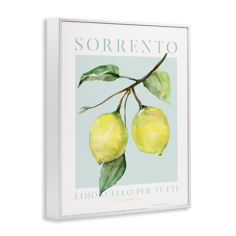 Art giclée de branche de citron de Sorrente par Reinders, Giclée encadrée blanc bord de mer, H 30 po x l 24 po