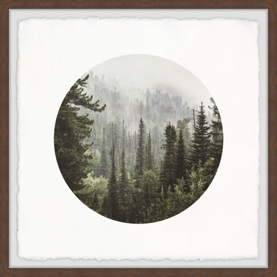 Forest Of Pines by Marmont Hill - Single Picture Frame Painting