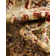 Niles Oriental Indoor Rug