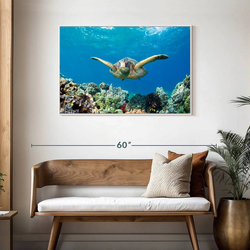 Tortue de mer verte Maui, Cadre flottant blanc, 43 po x 29 po