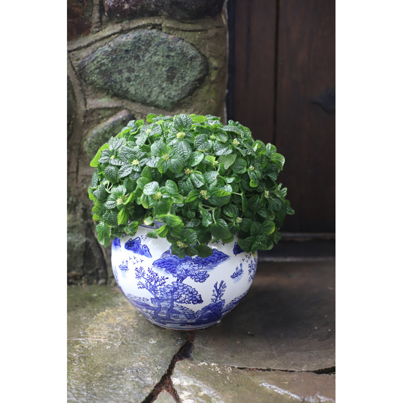 Pot à fleurs 11 po Euro Ceramica