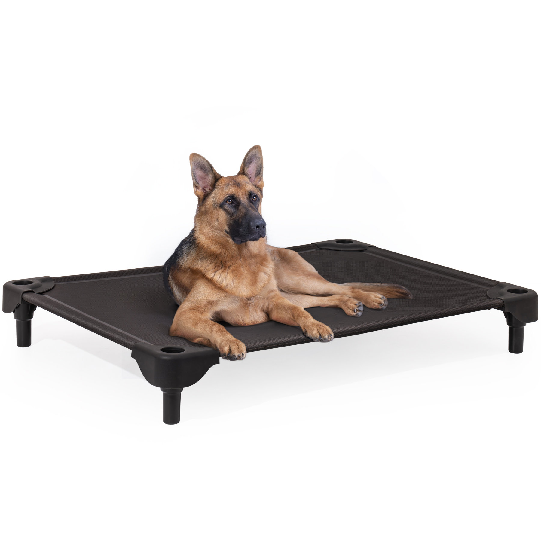 Guardian gear best sale pet cot