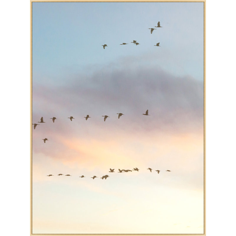 Sunset Flock 2 Print by Lillian August