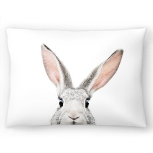Sunny Bunnies Pillows & Cushions for Sale