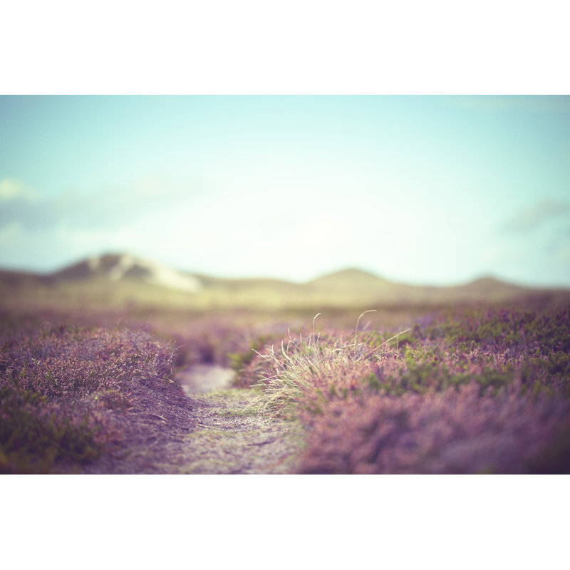 Mauve mauve sous le ciel bleu par Rike, H 20 po x l 30 po