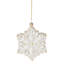 2025 Blown Glass Snowflake Ornament