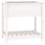 Aalap Wood Raised Garden Bed-1019041433-1019041424