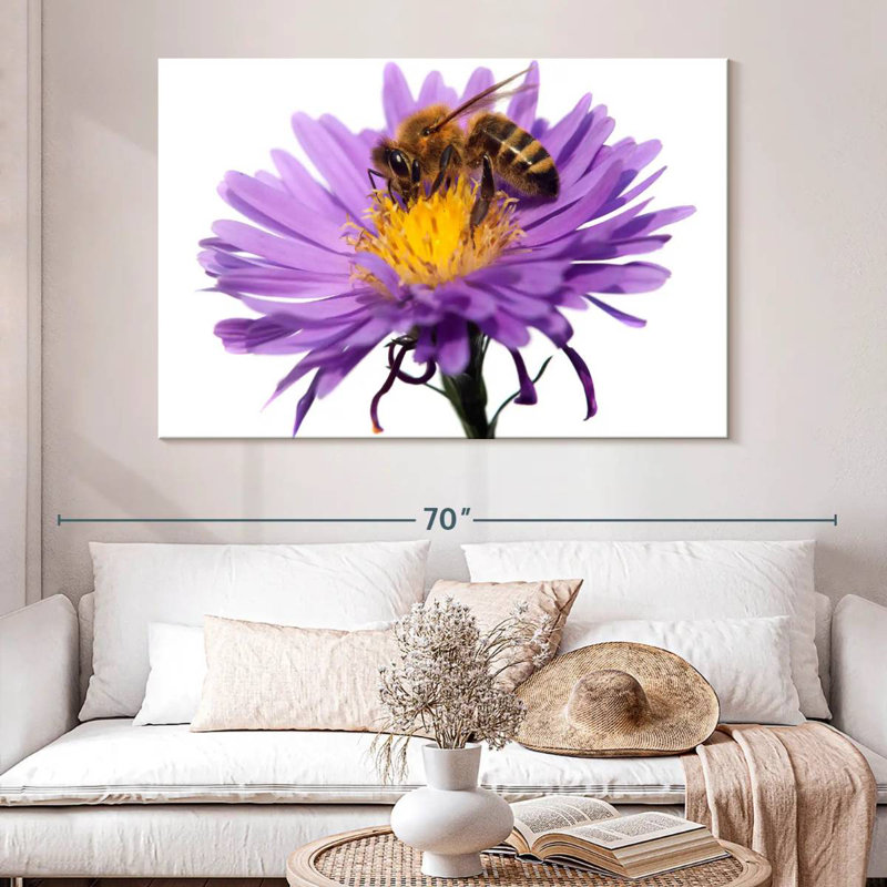 Abeille à miel qui suce le nectar Brampt, H 34 po x l 51 po